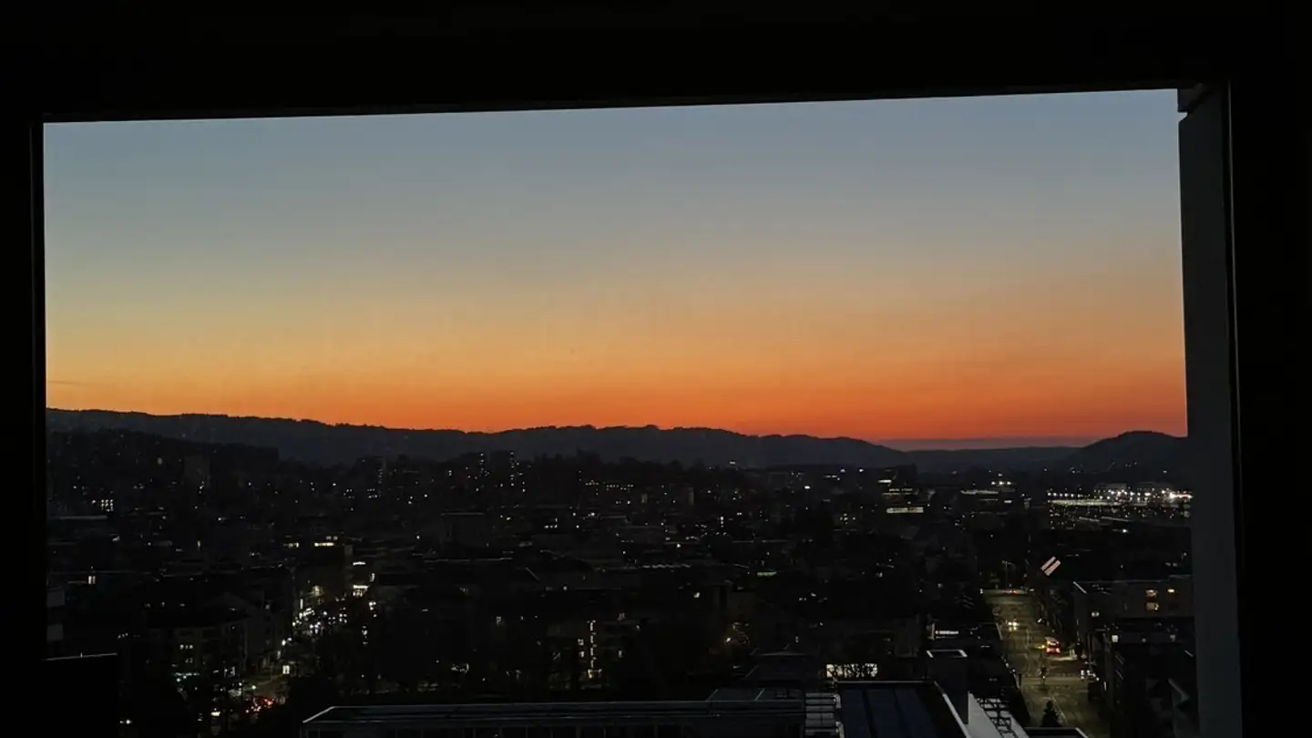 Chambre à louer - Baslerstrasse 77, 8048 Zürich - Photo 2