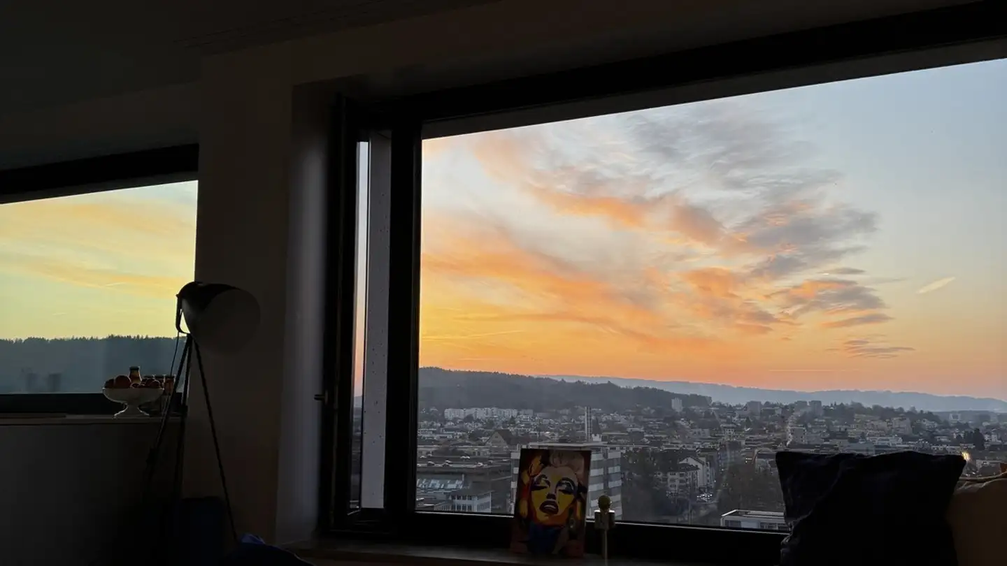 Chambre à louer - Baslerstrasse 77, 8048 Zürich - Photo 3