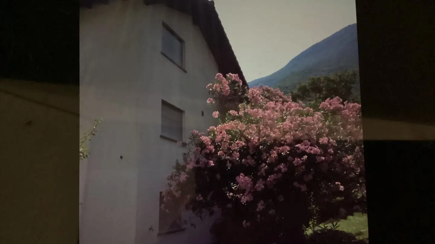 Appartamento in affitto - Via Orbello 11, 6517 Arbedo