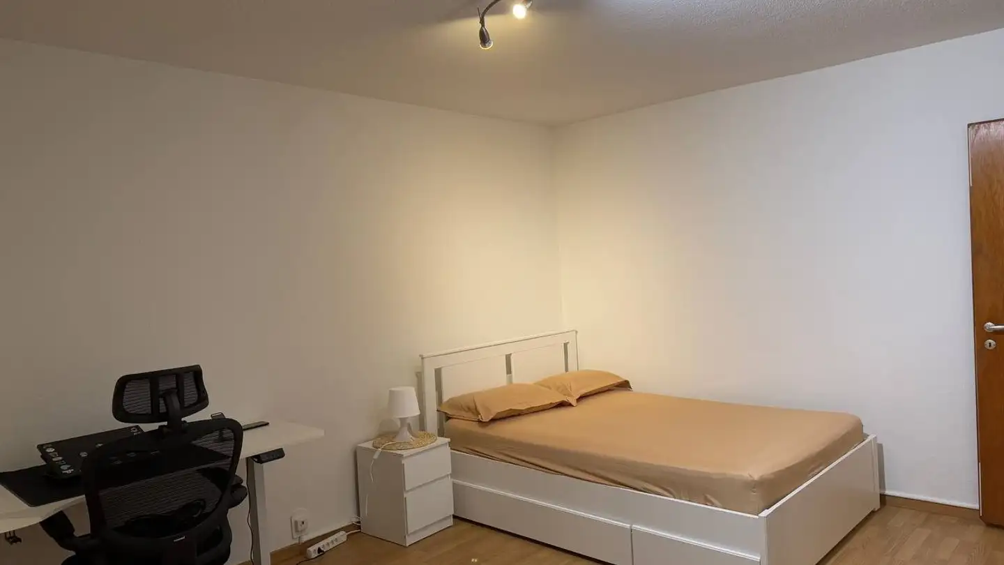 Appartamento in affitto - Schärenmoosstrasse 19, 8052 Zürich - Foto 4