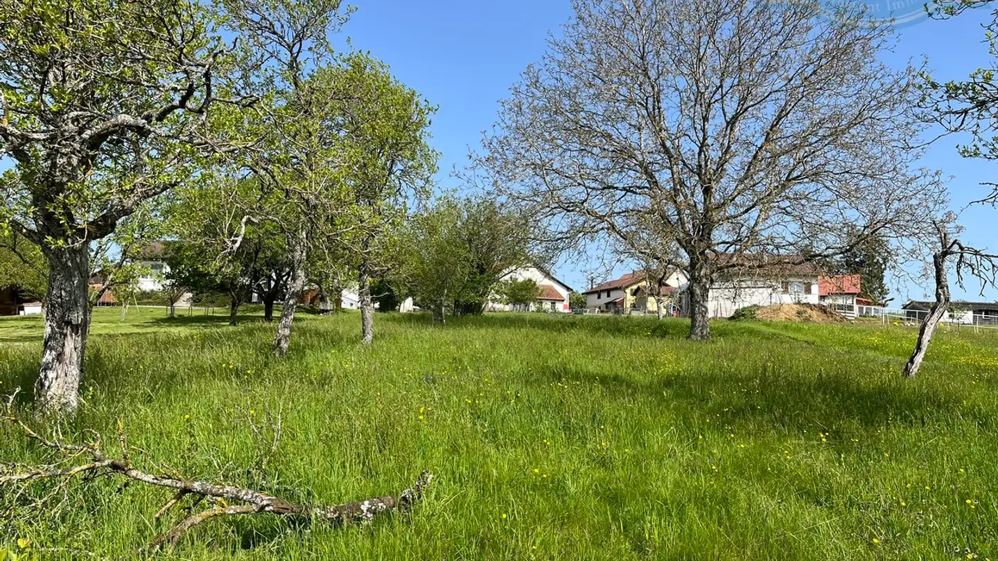 Casa singola in vendita - 2915 Bure - Photo 2