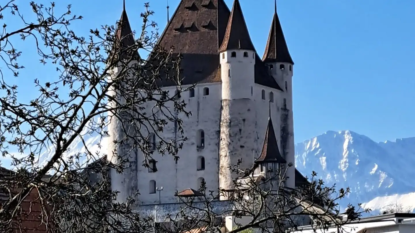 Appartement à louer - Steffisburgstrasse 13a, 3600 Thun