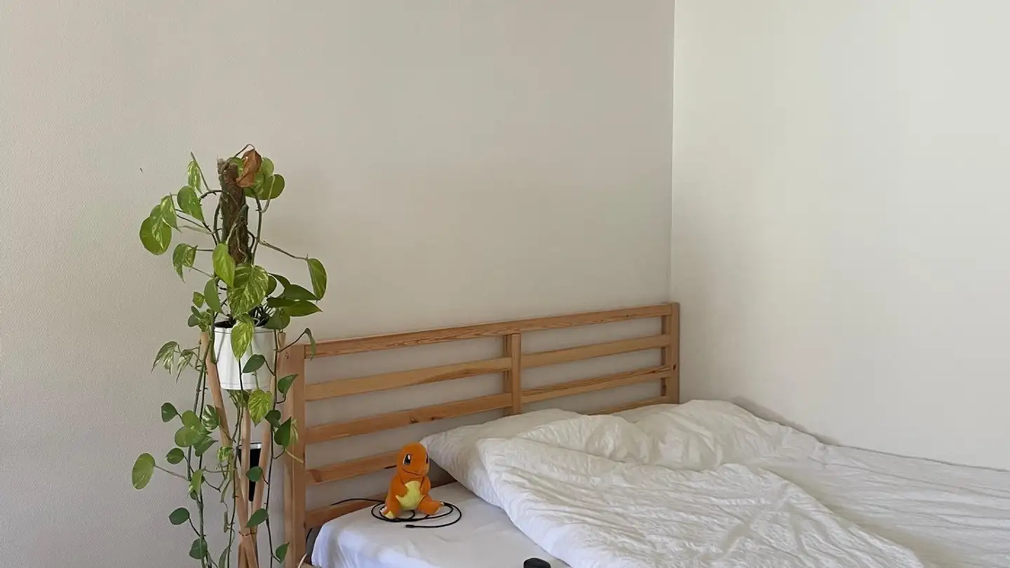 Single room for rent - Uetlibergstrasse 240, 8045 Zürich - Photo 3