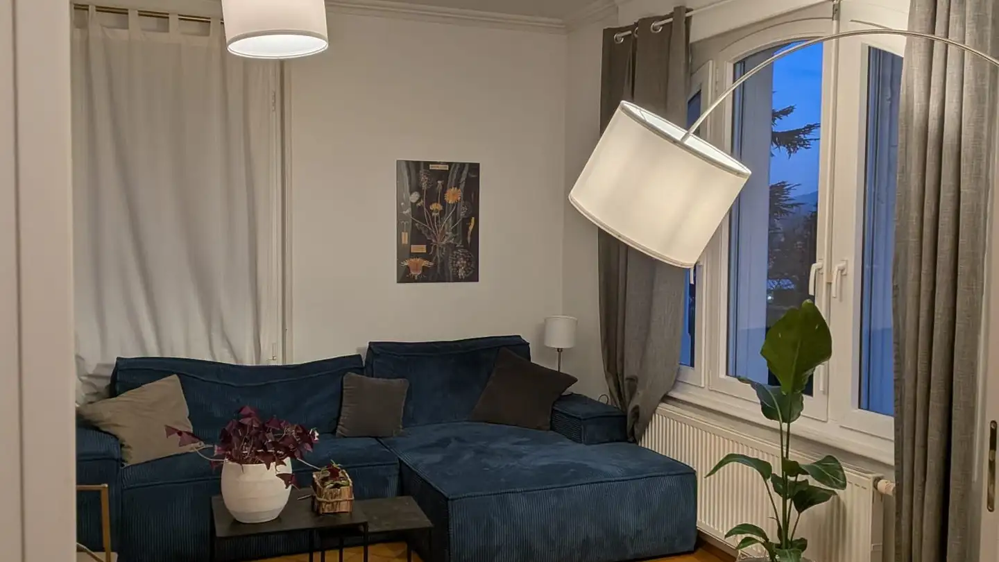 Stanza singola in affitto - 1020 Renens VD - Foto 4