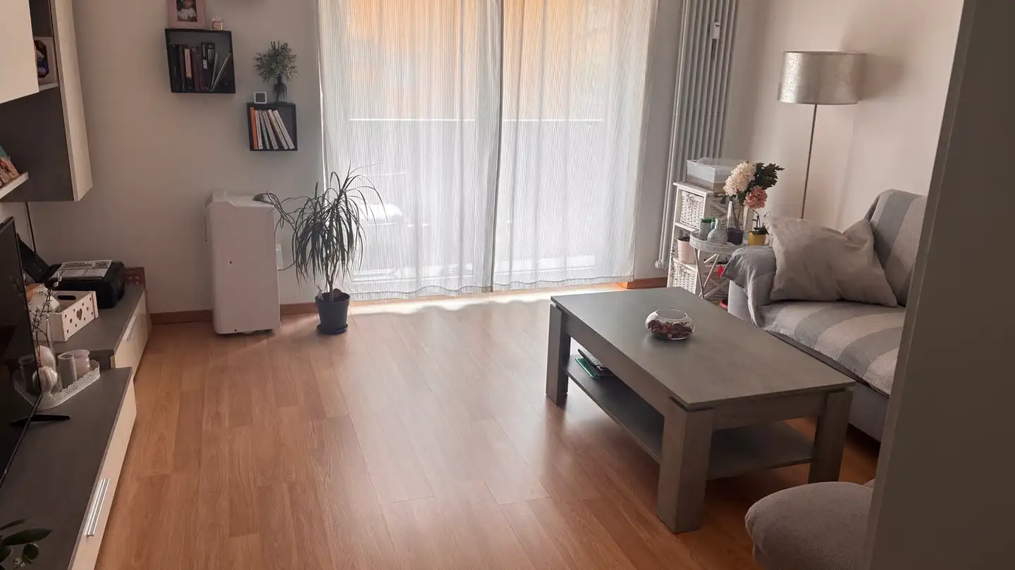 Appartamento in affitto - Via Cantone 11, 6527 Lodrino - Foto 2