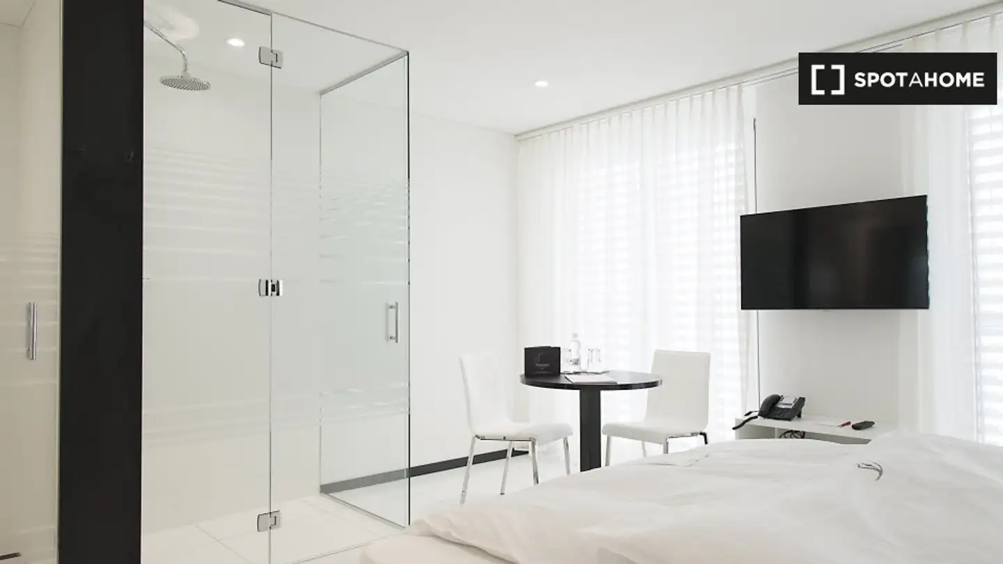 Studio for rent - 8105 Regensdorf