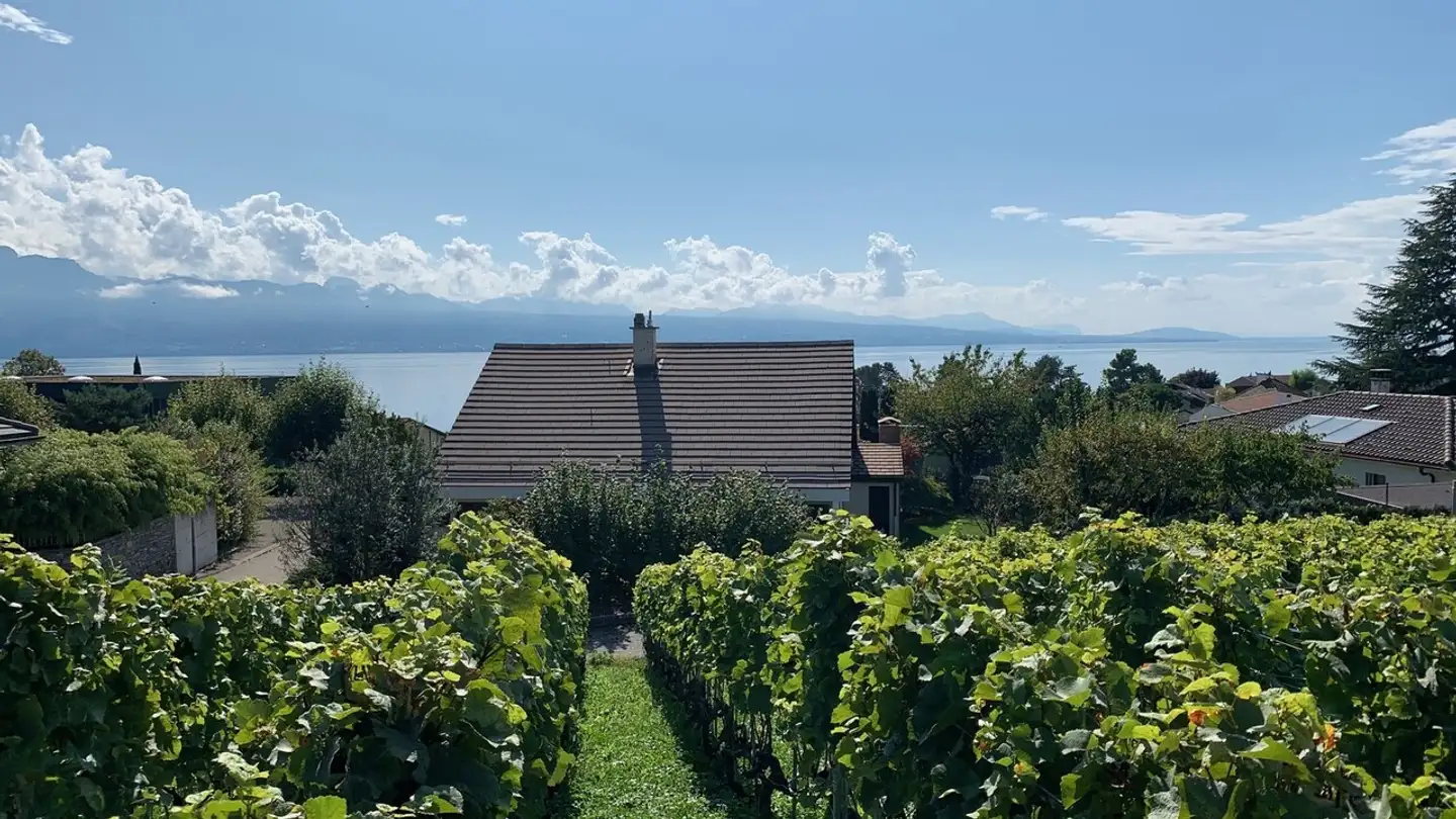 Villa à louer - Chemin Des Pâles, 1095 Lutry