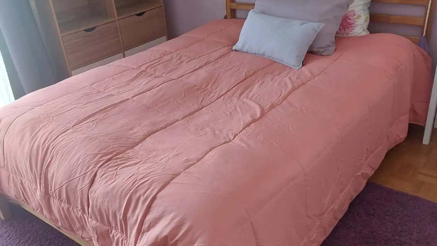 Single room for rent - 1009 Pully