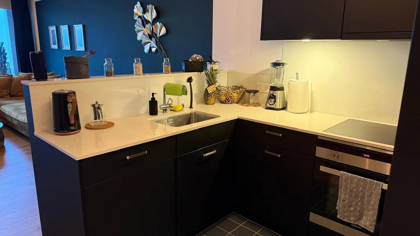 Chambre à louer - 8810 Horgen