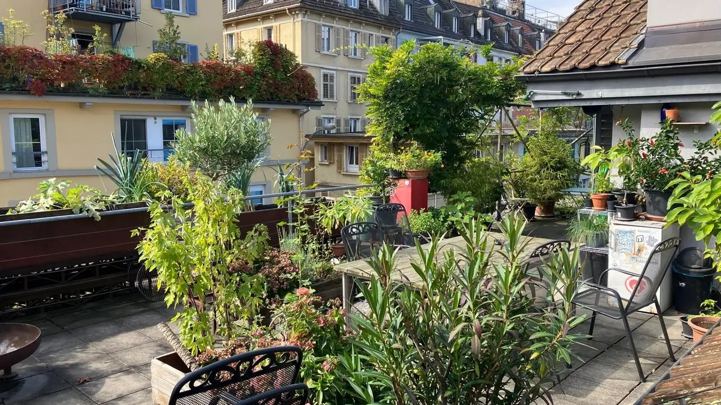 Chambre à louer - Sentimattstrasse 6a, 6003 Luzern - Photo 2