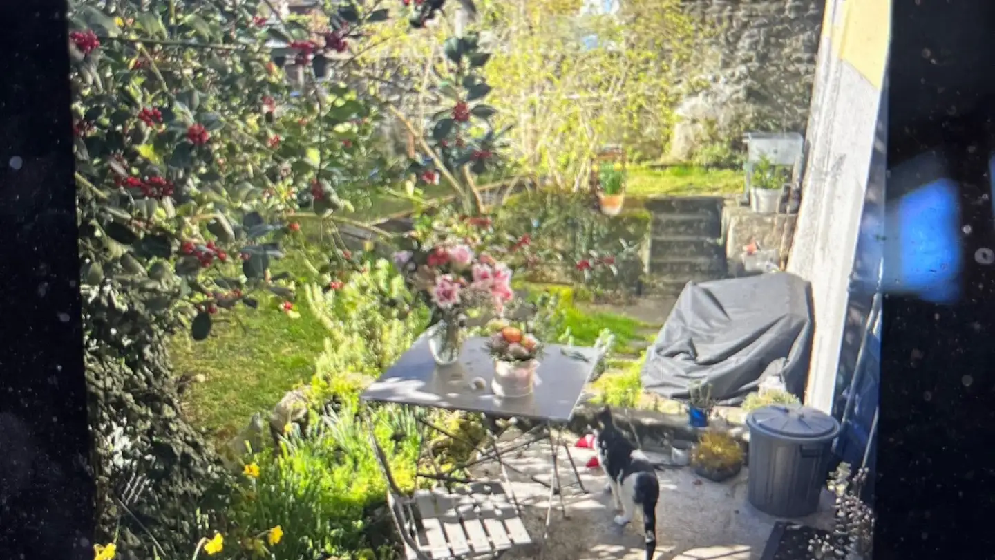 Appartamento in affitto - 1096 Cully - Foto 2