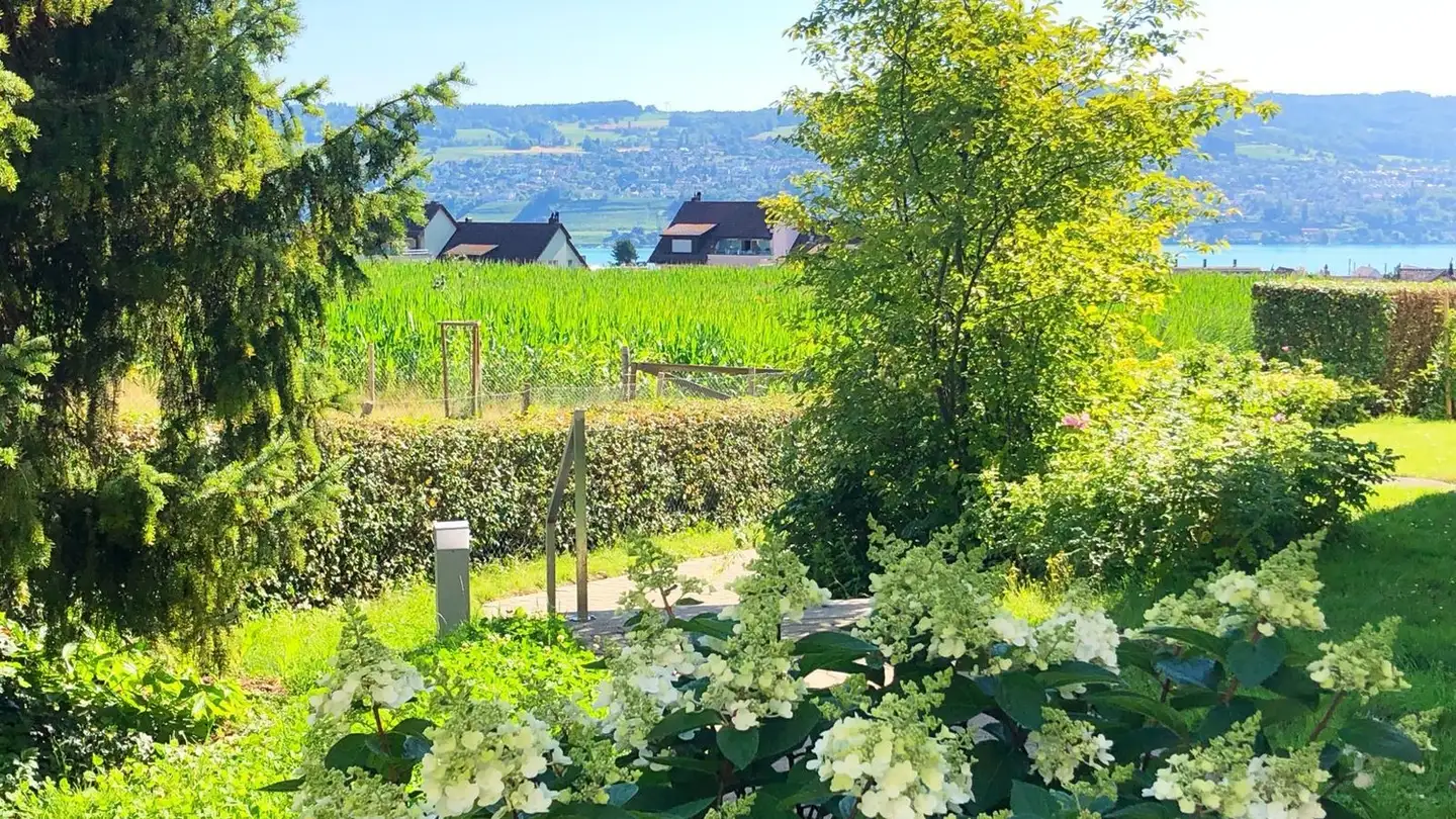 Appartement à louer - 8942 Oberrieden - Photo 2