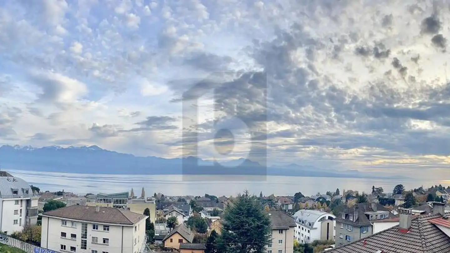 Attique à vendre - 1009 Pully