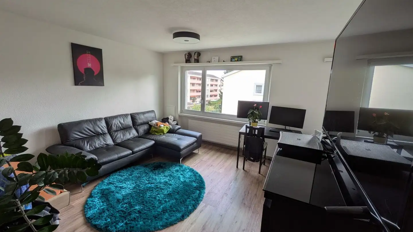 Appartement à louer - Stockwiese 1, 9542 Münchwilen TG