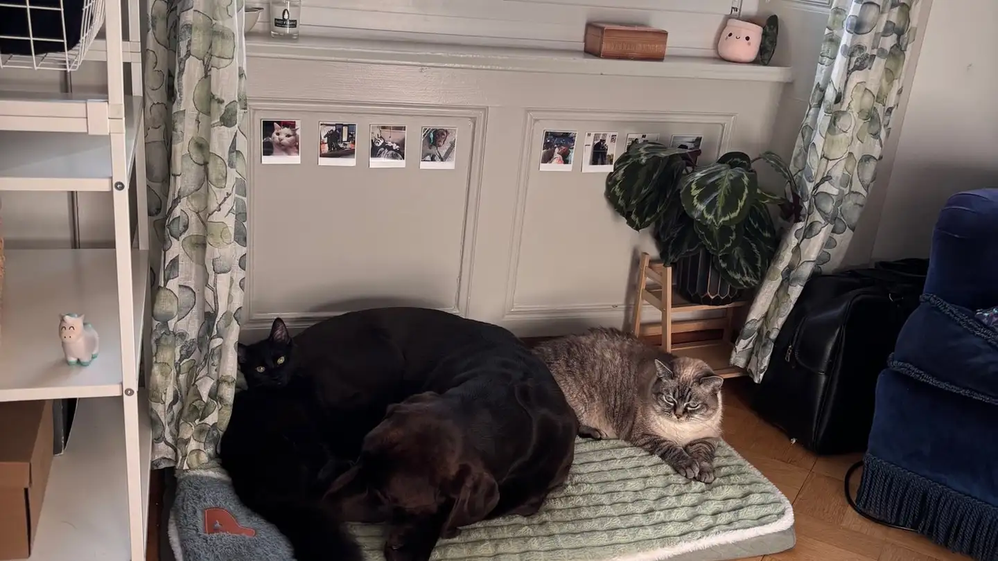 Einfamilienhaus mieten - 2024 St-Aubin-Sauges