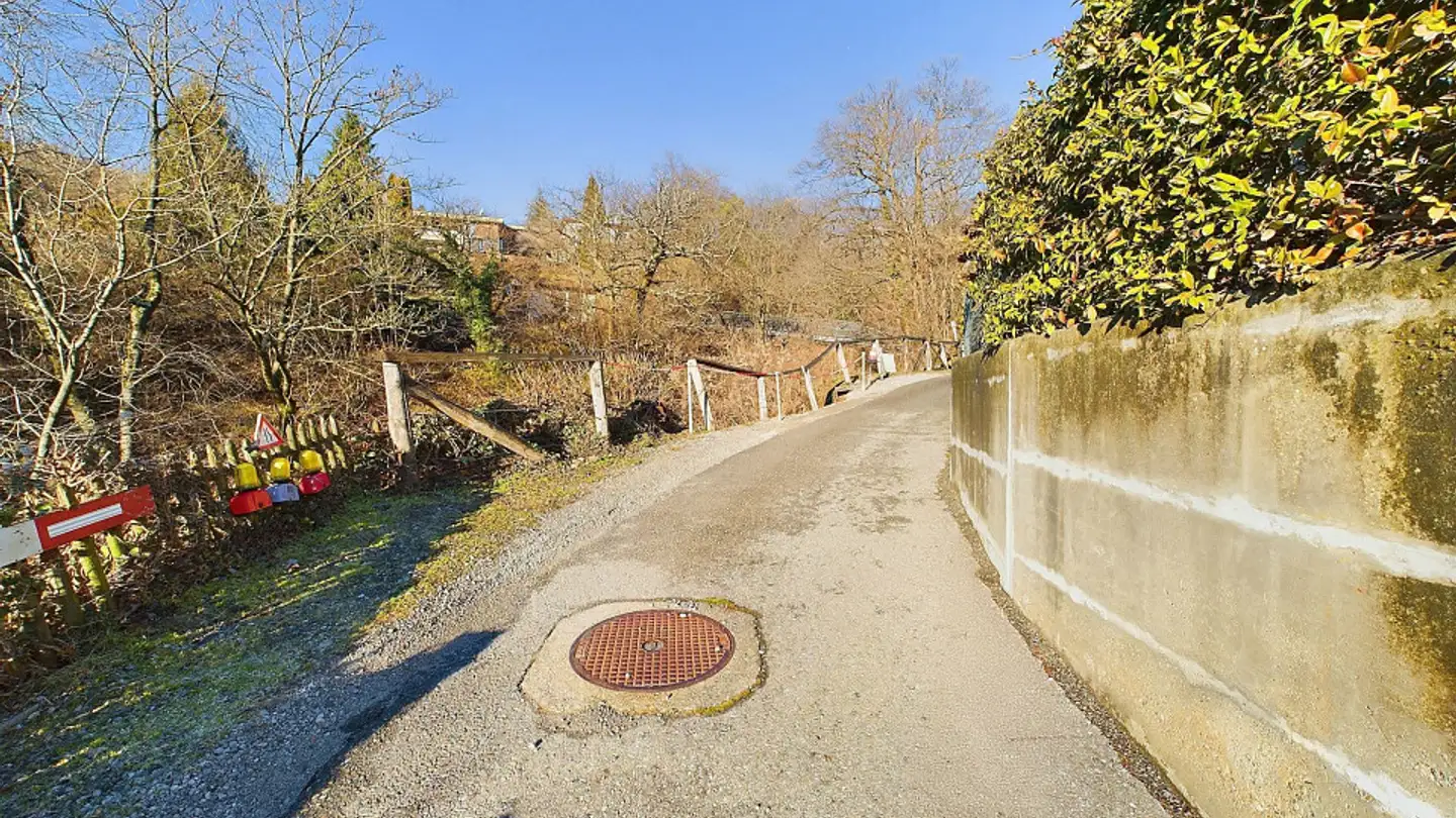Constructible plot for sale - 6936 Cademario - Photo 3