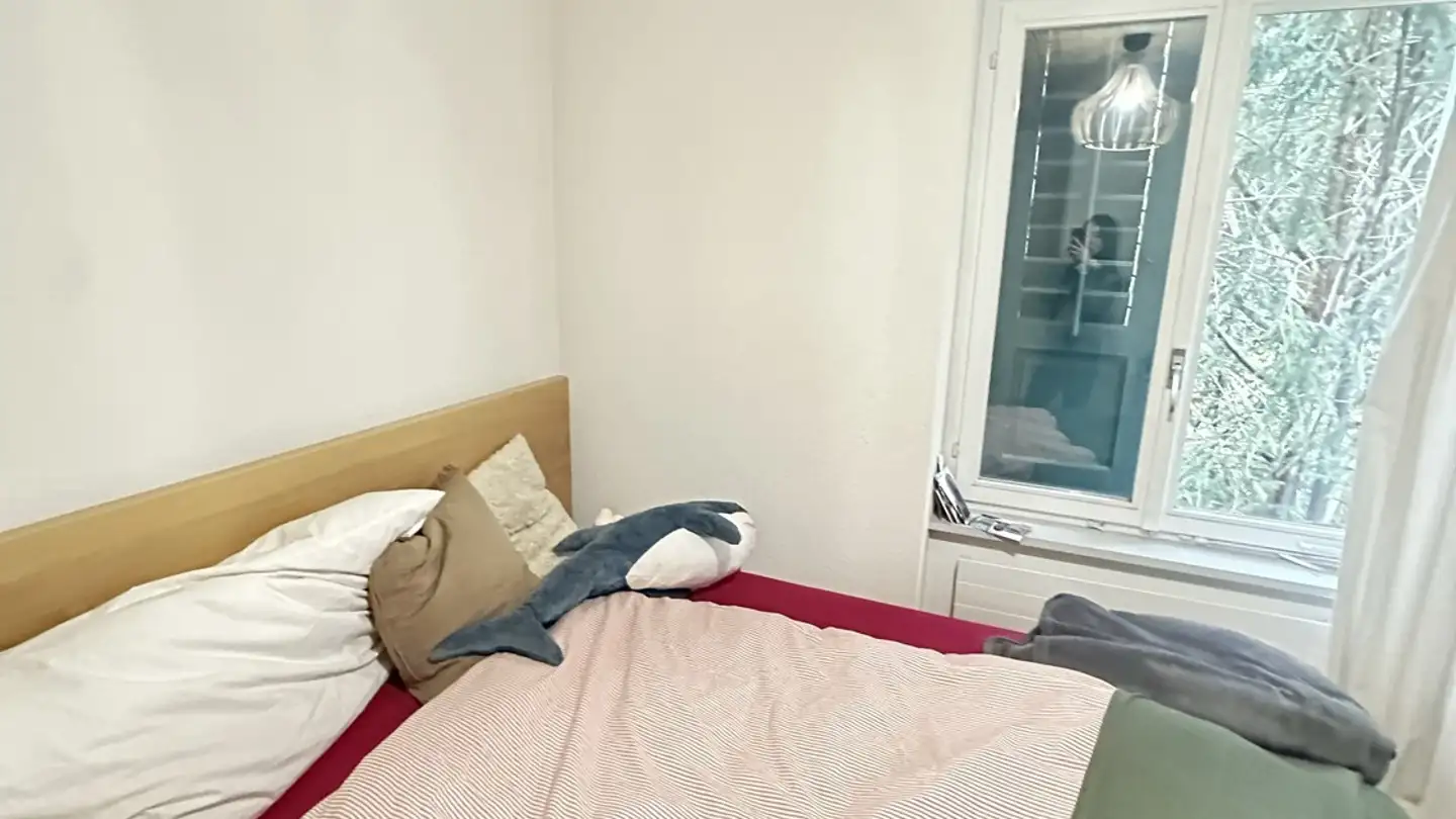 Stanza singola in affitto - Felsenstrasse 71, 9000 St. Gallen