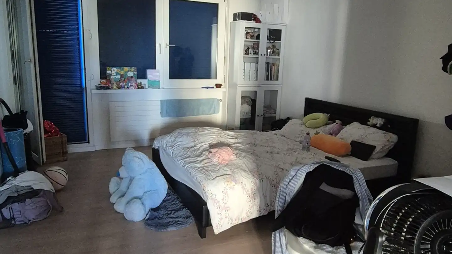 Appartamento in affitto - Baslerstrasse 107, 8048 Zürich