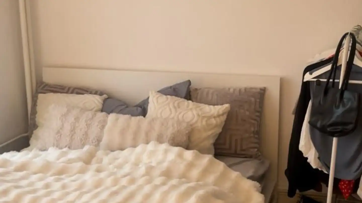 Appartement à louer - Pflanzschulstrasse, 8004 Zürich - Photo 3