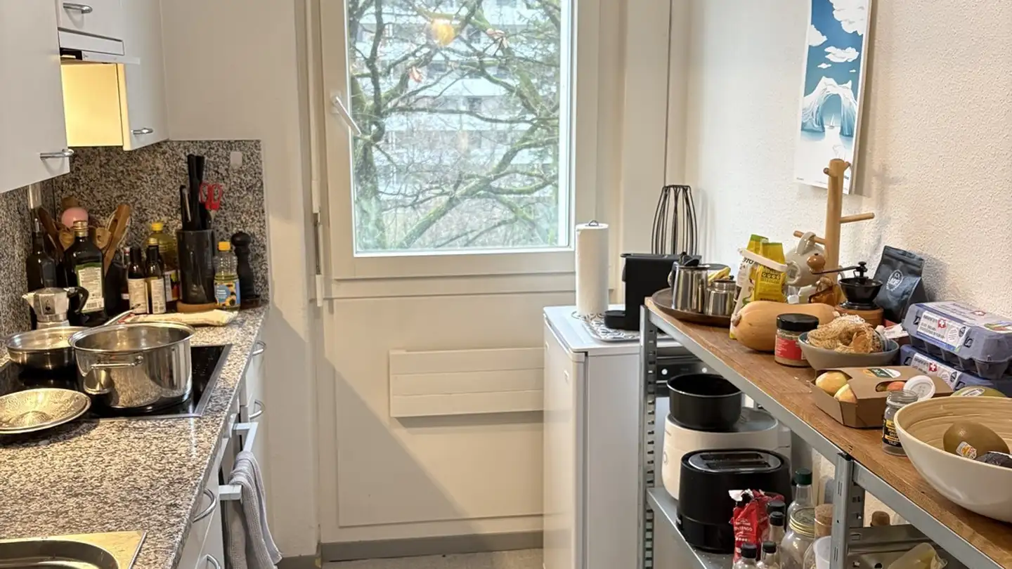 Stanza singola in affitto - 8047 Zürich - Foto 4