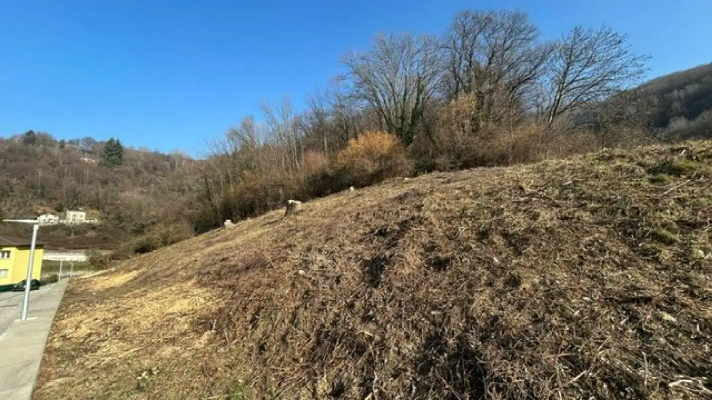Constructible plot for sale - 6835 Morbio Superiore - Photo 4