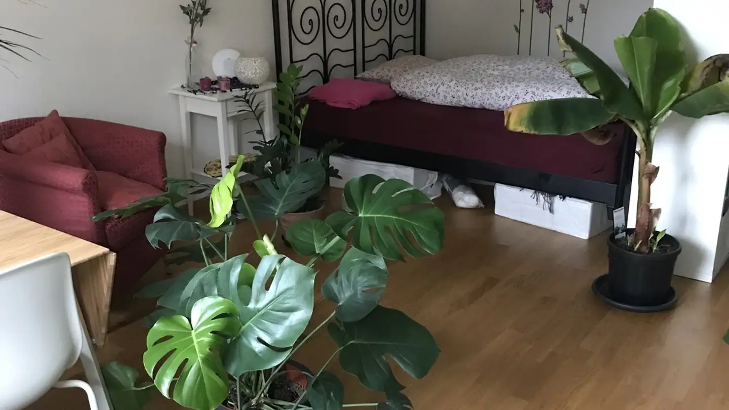 Apartment for rent - Schlossgasse 5, 8003 Zürich - Photo 4