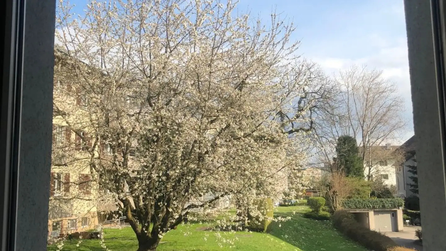 Single room for rent - Buenstrasse 12, 8600 Dübendorf - Photo 4