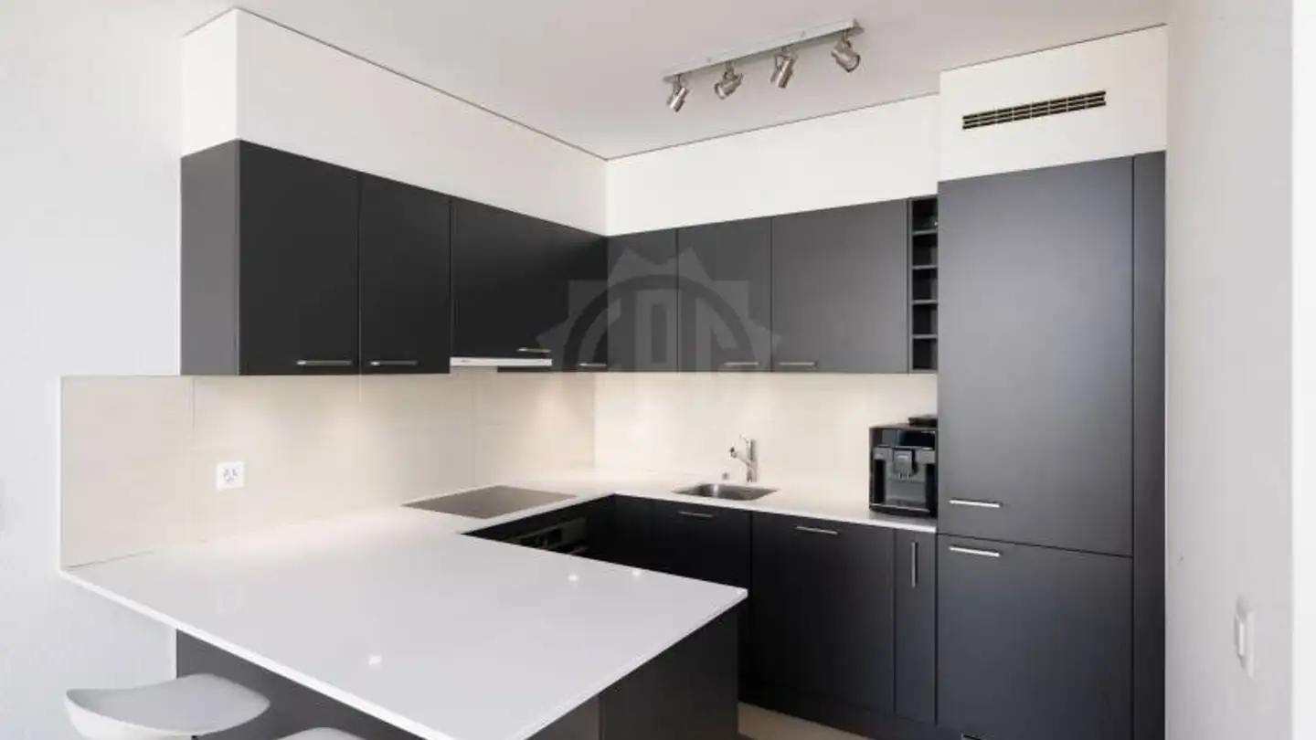 Appartement à louer - Rue Alexandre- Gavard 28, 1227 Carouge GE