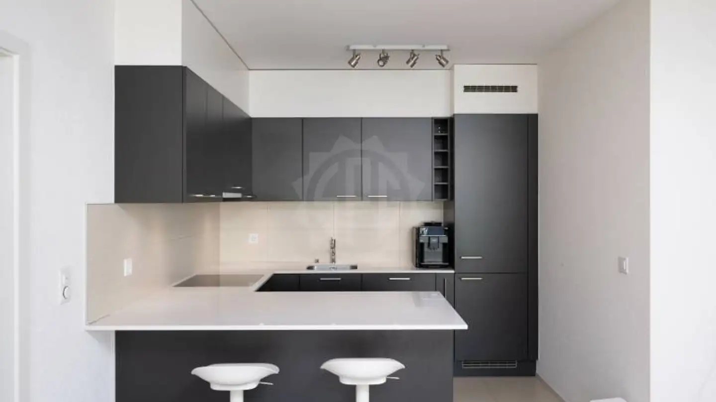 Appartement à louer - Rue Alexandre- Gavard 28, 1227 Carouge GE - Photo 2