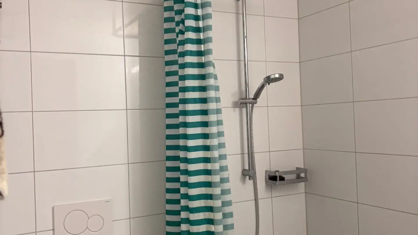 Chambre à louer - Geerenweg 14, 8048 Zürich - Photo 2
