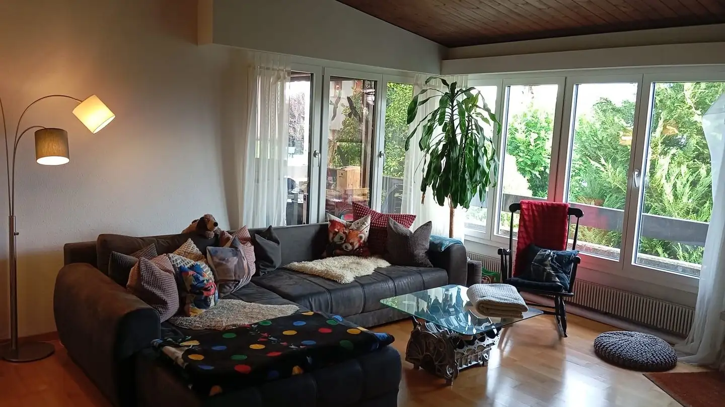 Single house for rent - 5420 Ehrendingen