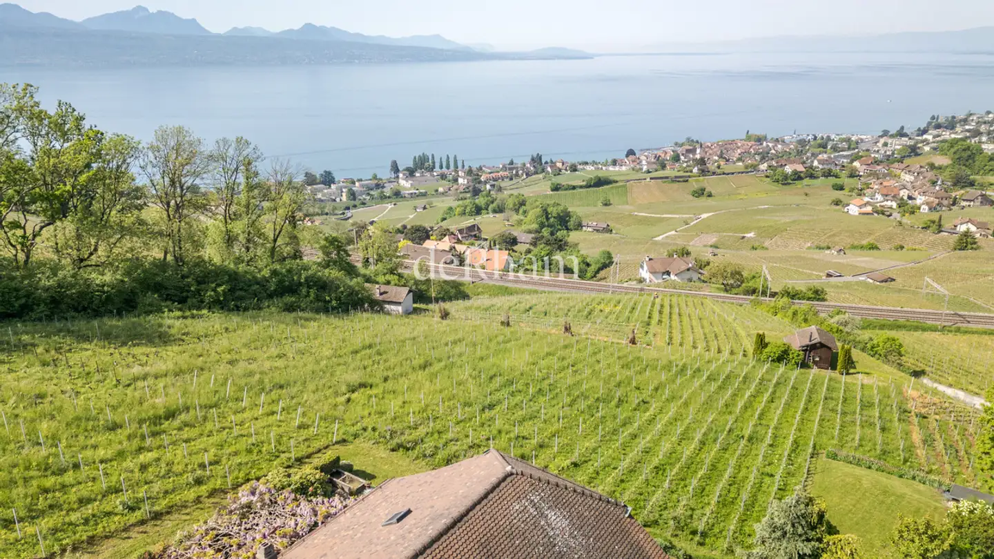 Maison individuelle à vendre - 1095 Lutry - Photo 2