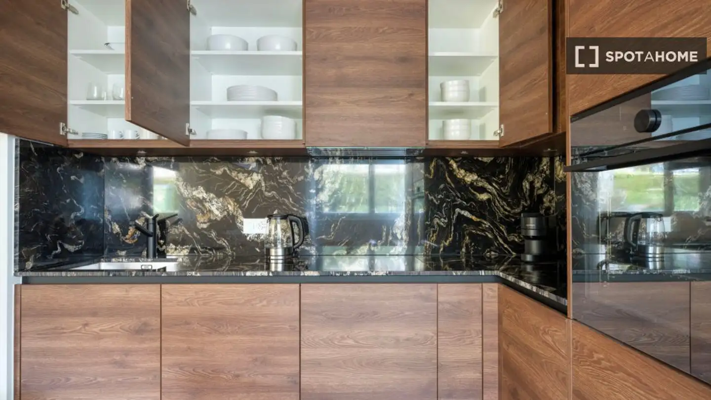 Apartment for rent - 8055 Zürich - Photo 4