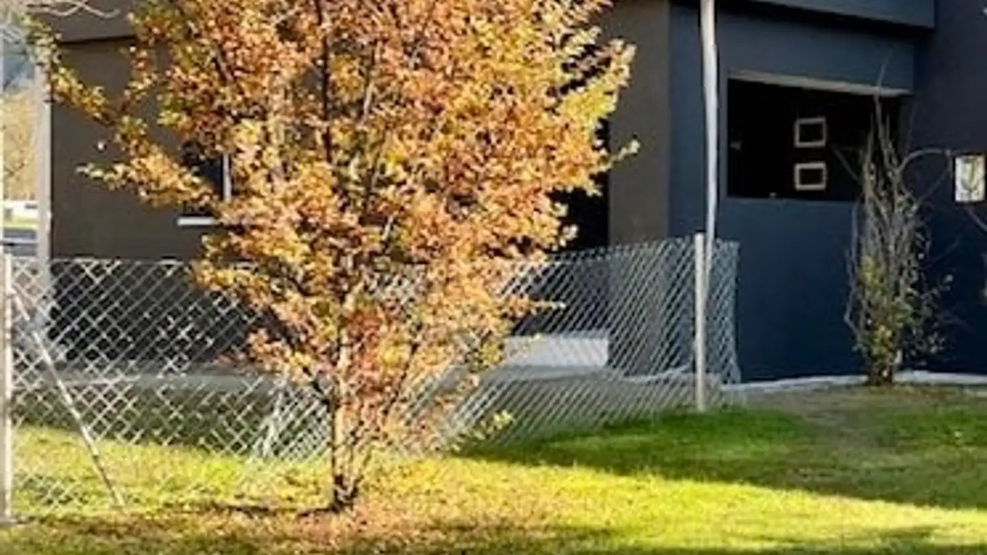 Single house for rent - Strada Cantonal 39, 6535 Roveredo GR