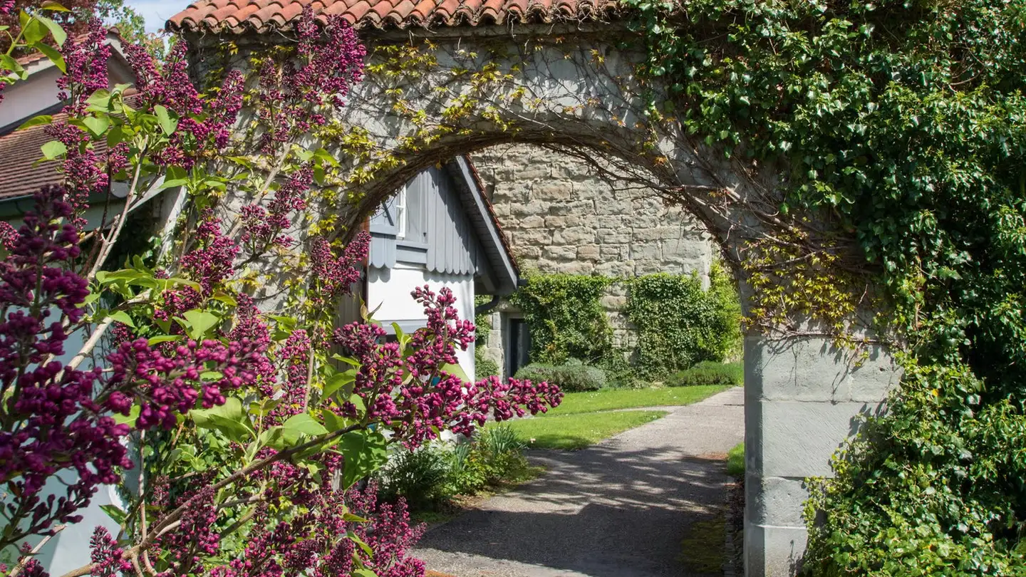 Château à vendre - 9033 Untereggen - Photo 2