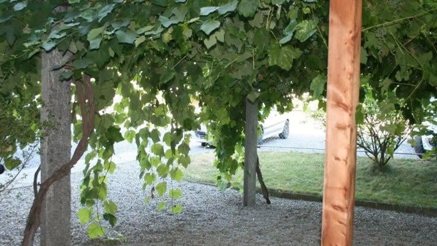 Appartamento in affitto - Kühlhausstrasse 5, 9451 Kriessern - Foto 2