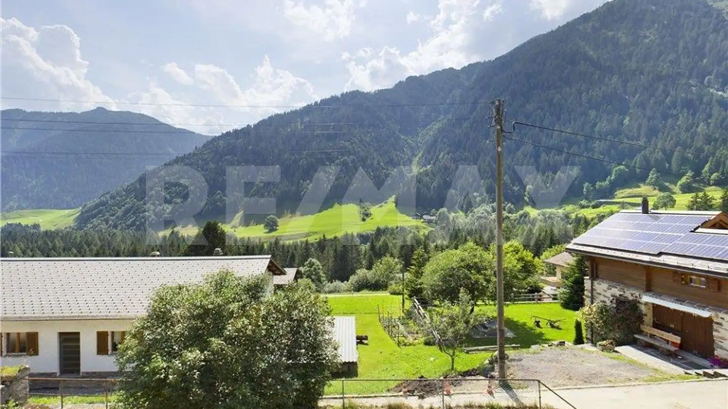 Entreprise agricole à vendre - 6720 Campo (Blenio) - Photo 3