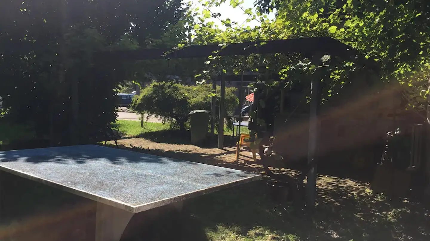 Appartamento in affitto - Aescherstrasse, 6295 Mosen - Photo 3