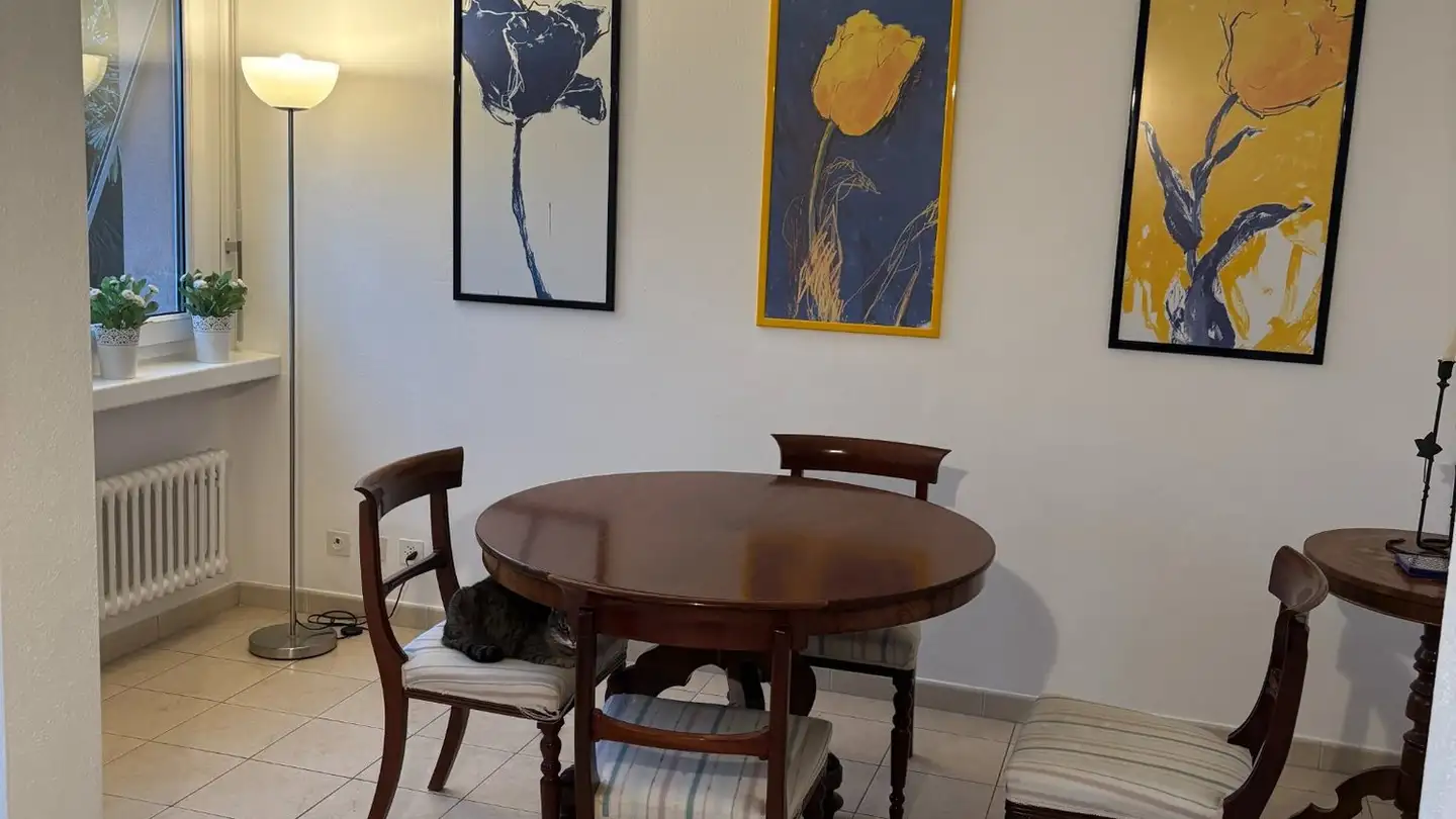 Appartamento in affitto - Via Cantonale 14, 6814 Cadempino - Photo 4