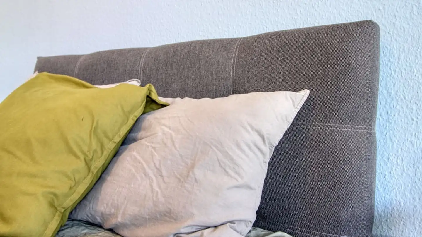 Appartamento in affitto - Chemin Taverney, 1218 Le Grand-Saconnex - Foto 3