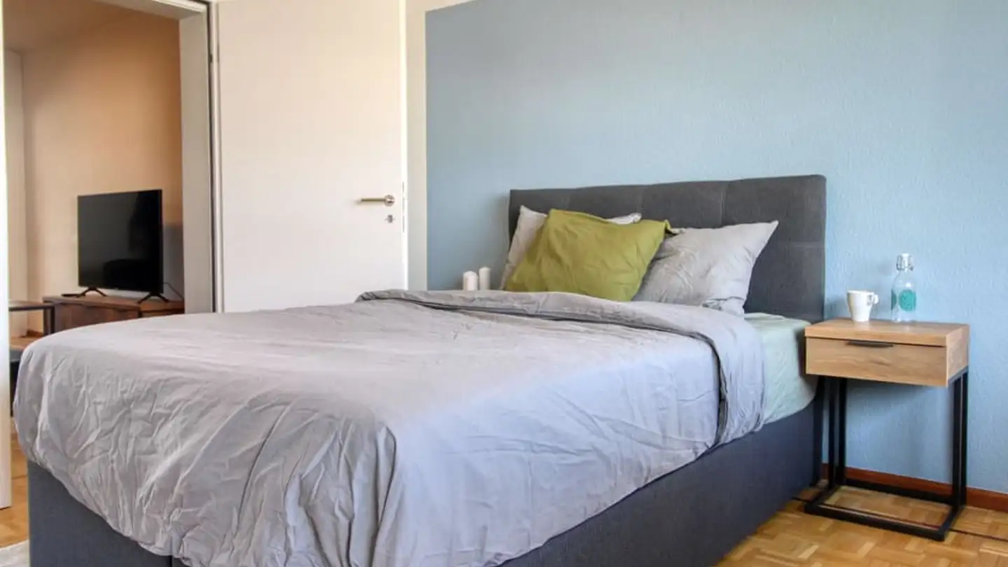 Appartamento in affitto - Chemin Taverney, 1218 Le Grand-Saconnex - Foto 4