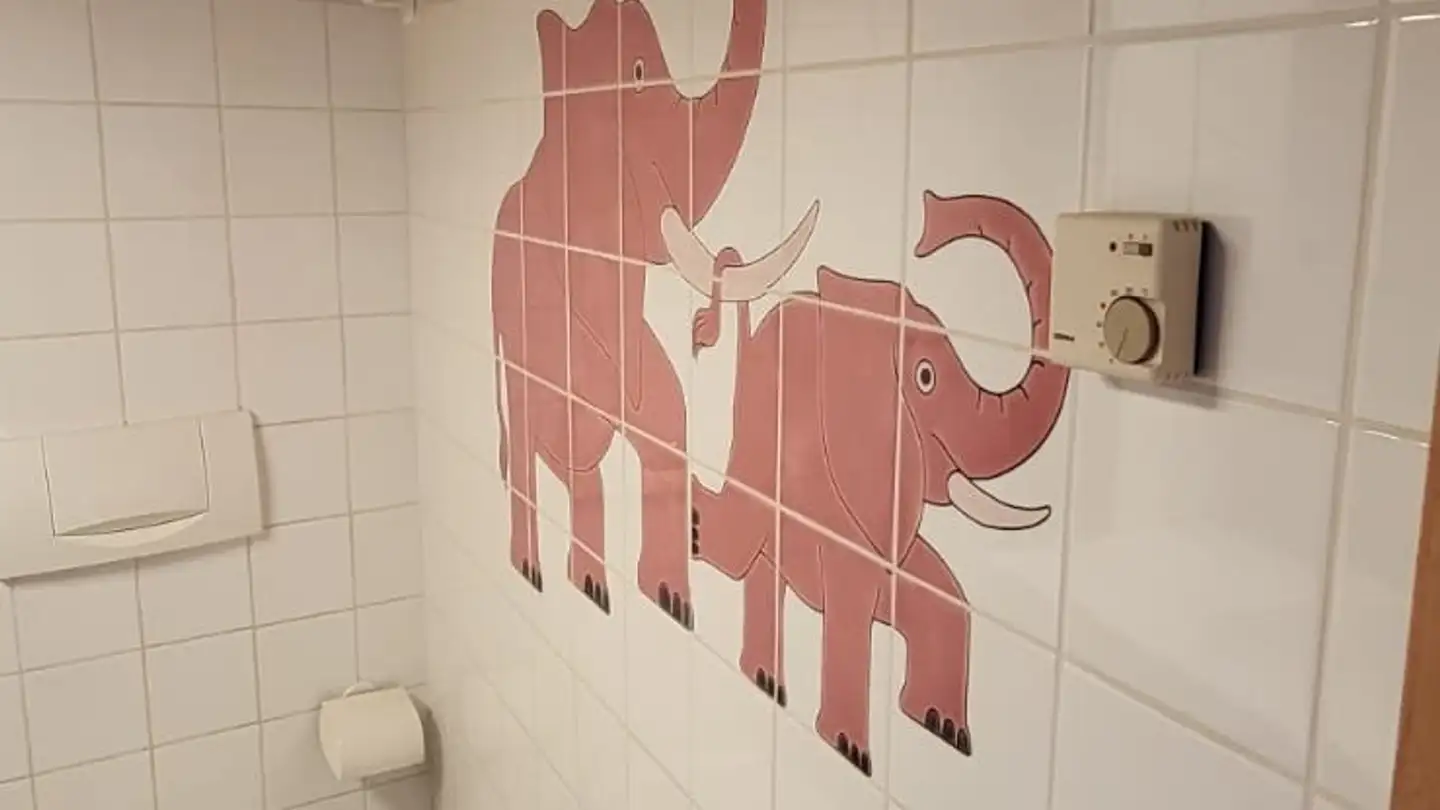 Appartamento in affitto - 6713 Malvaglia - Photo 4