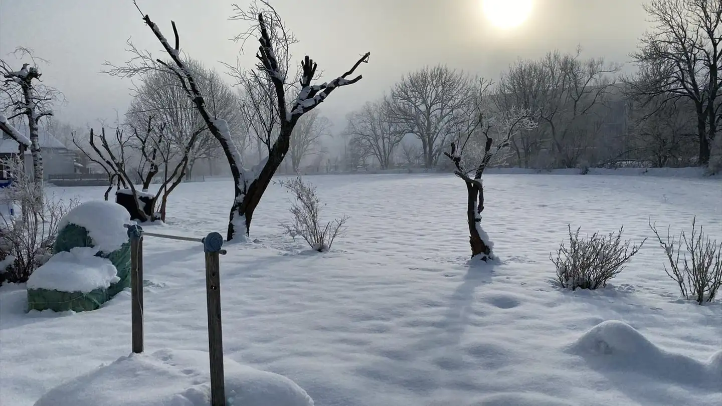 Casa singola in vendita - Les Grands-Prés 15, 2608 Courtelary - Foto 3