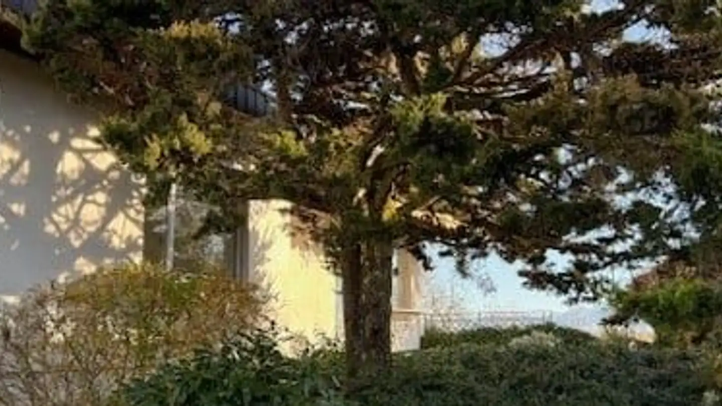 Single house for rent - 8133 Esslingen - Photo 4