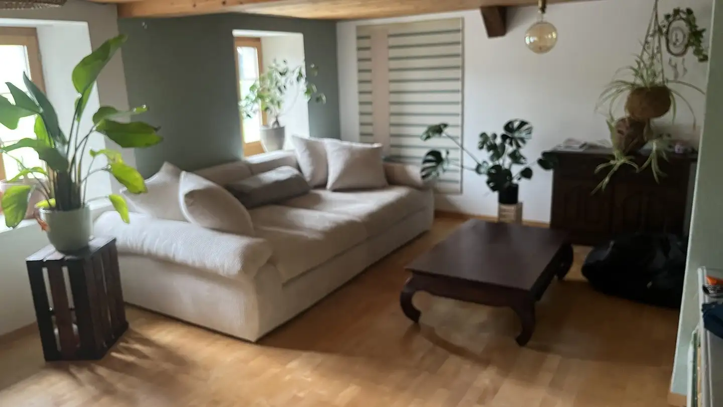 Appartamento ammobiliato in affitto - 3700 Spiez - Foto 4
