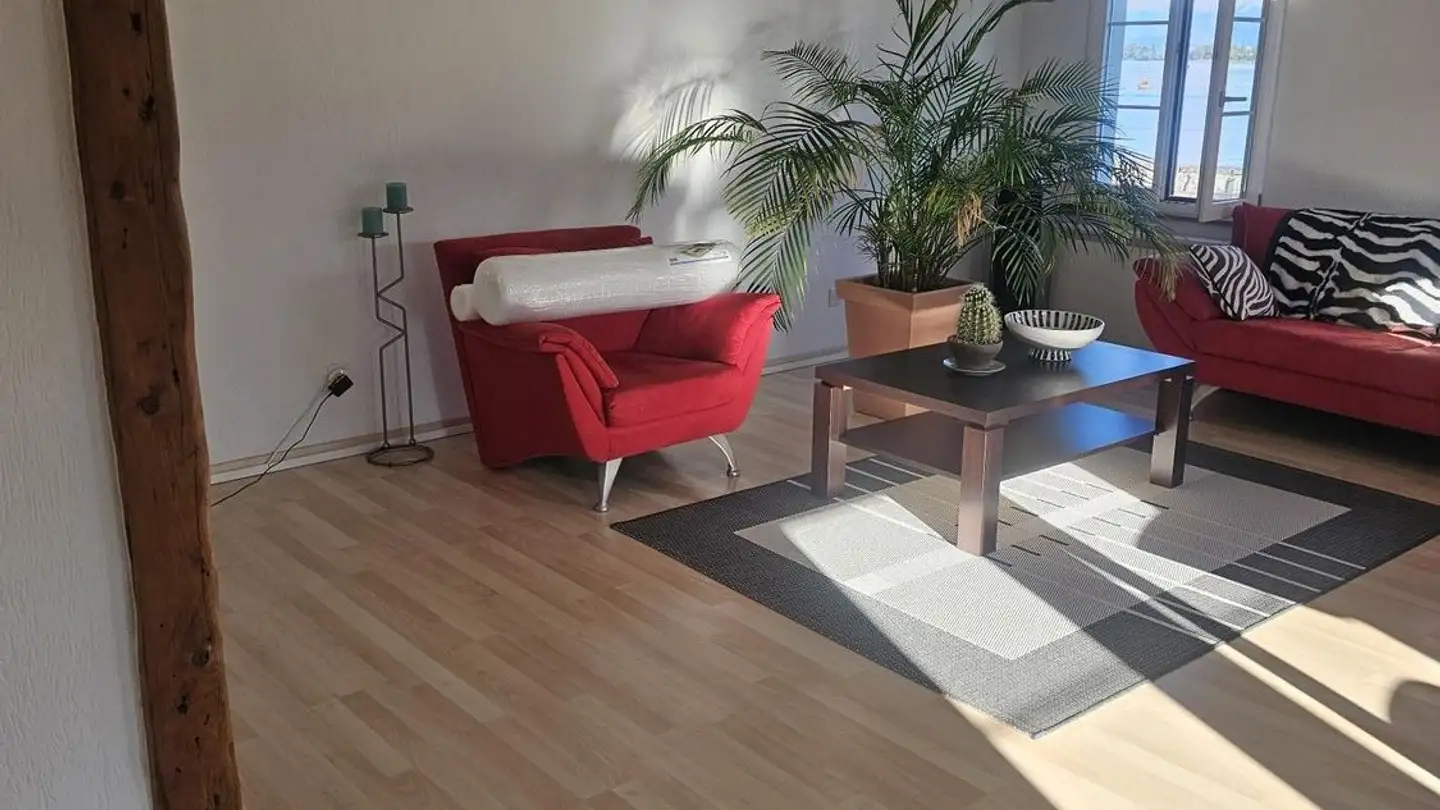Appartement à louer - Hornstrasse, 8805 Richterswil