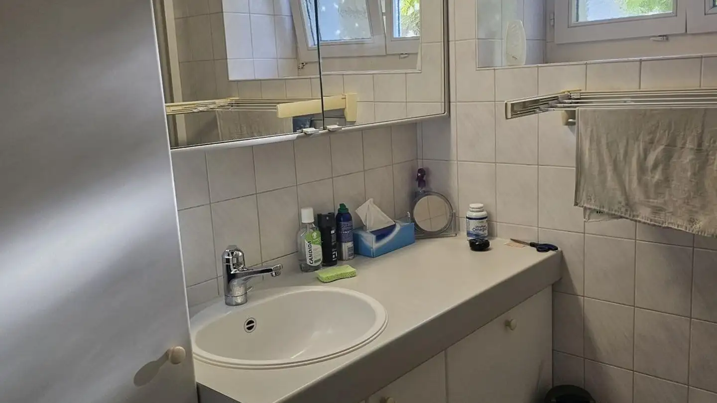 Appartement à louer - Hornstrasse, 8805 Richterswil - Photo 3