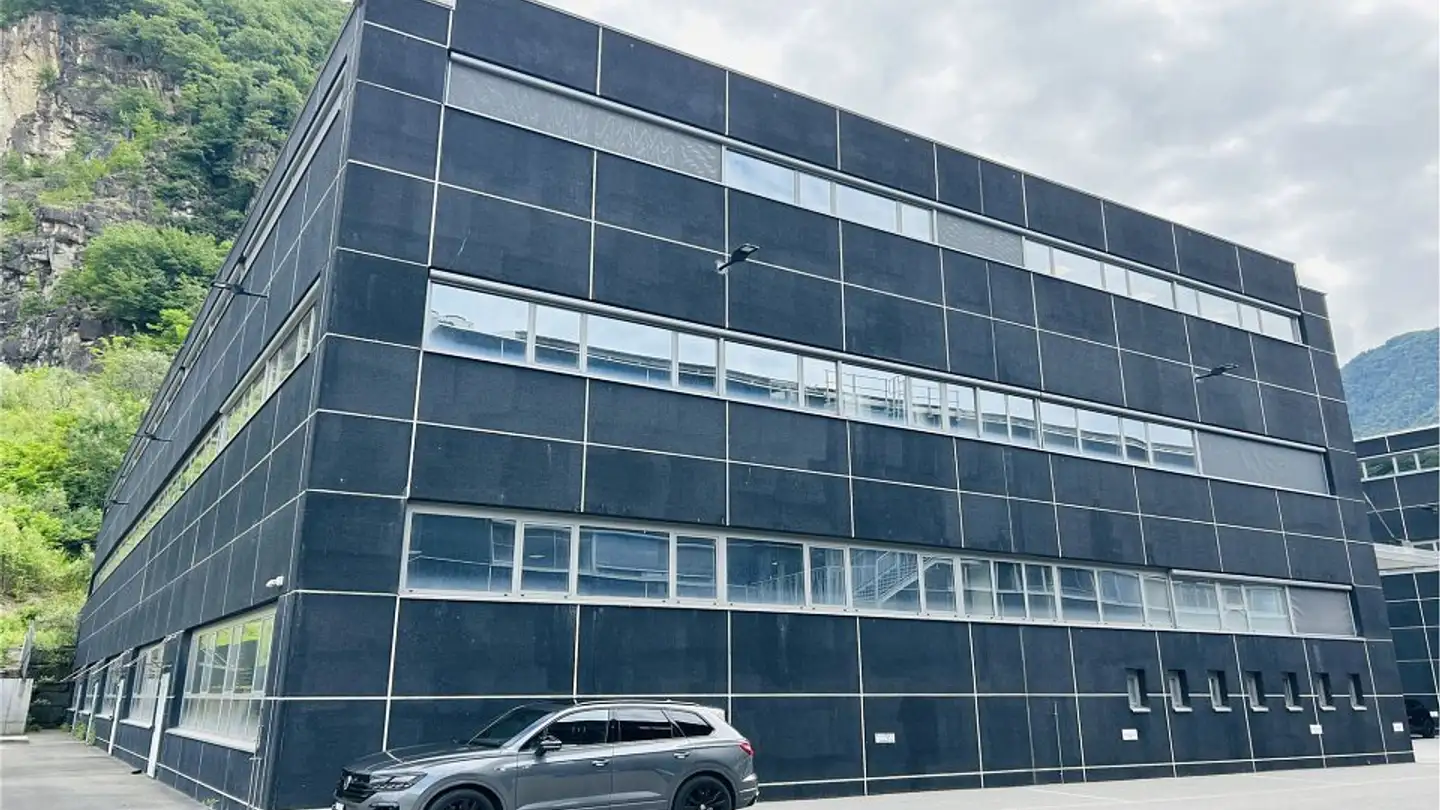 Gewerbe kaufen - 6532 Castione