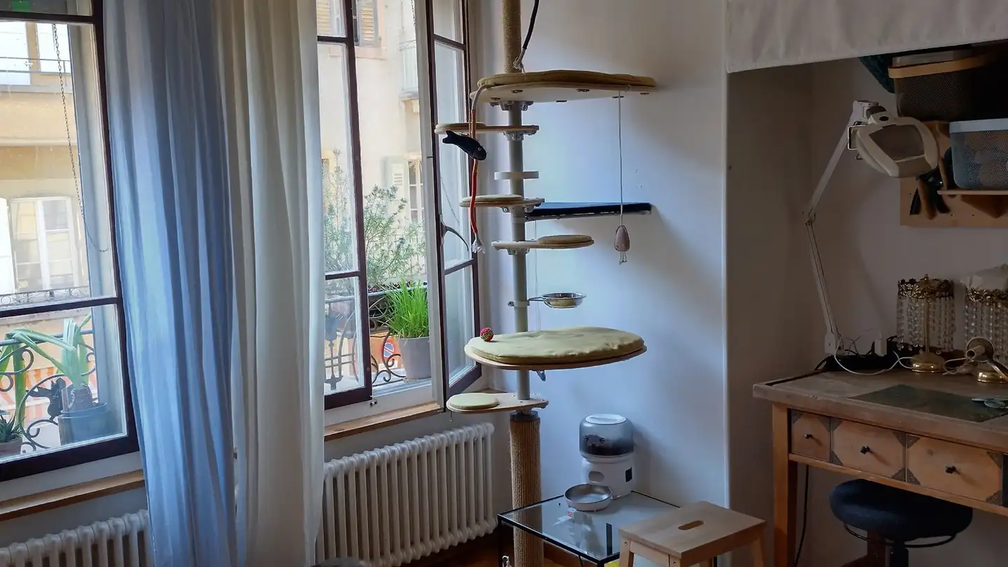 Wohnung mieten - Rue Des Remparts 14, 1350 Orbe