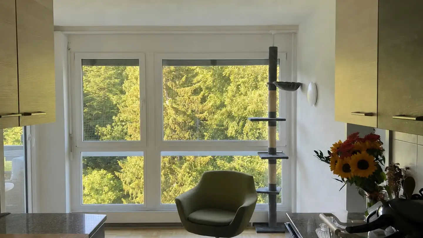 Chambre à louer - Mädergutstrasse 45, 3018 Bern - Photo 2